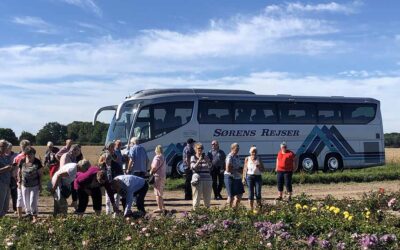 Busrejser og guidede ture hitter på Nordfyn